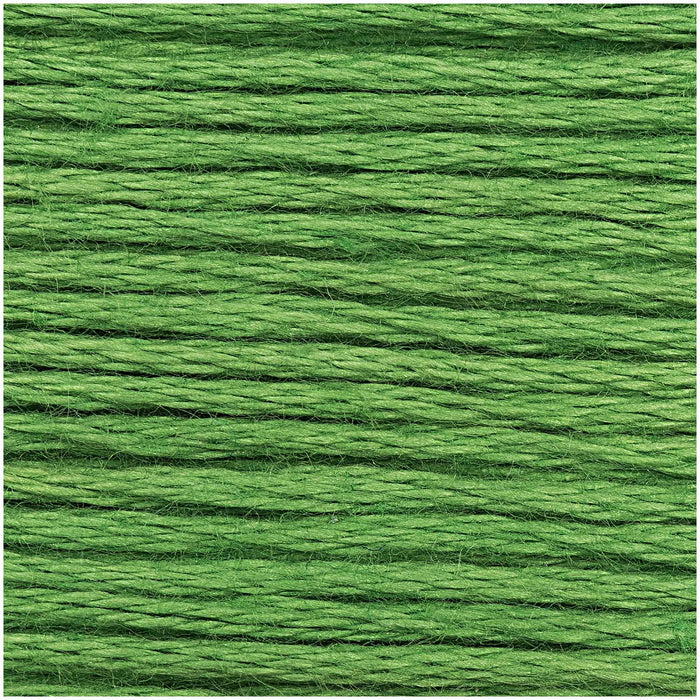 Rico - Strand Cotton Embroidery Thread  -  2g 8m - Green